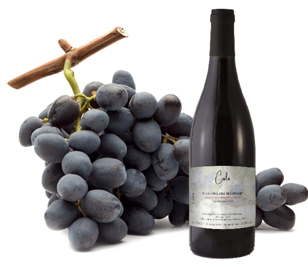 Vino Caló (Rosso)